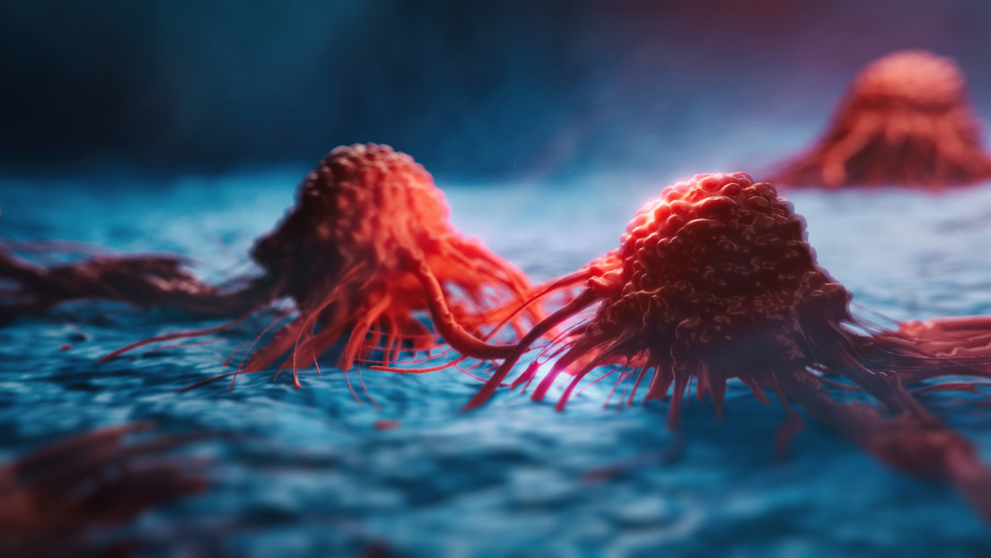 Células cancerosas pueden hibernar para sobrevivir a la quimioterapia