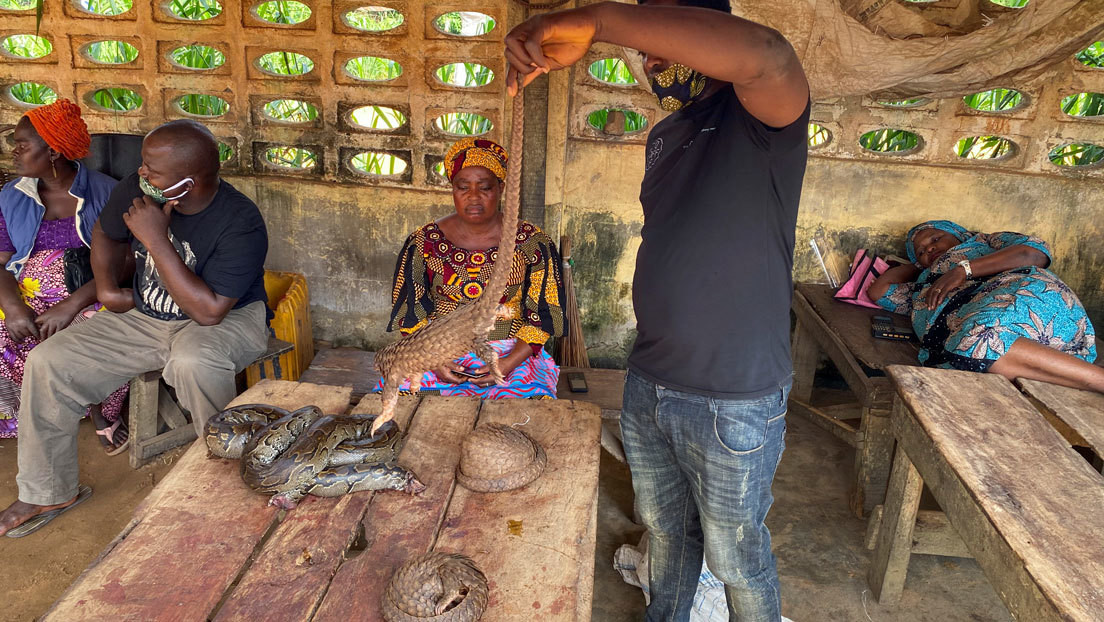 Las deplorables condiciones de un mercado nigeriano donde comercian con animales vivos y muertos