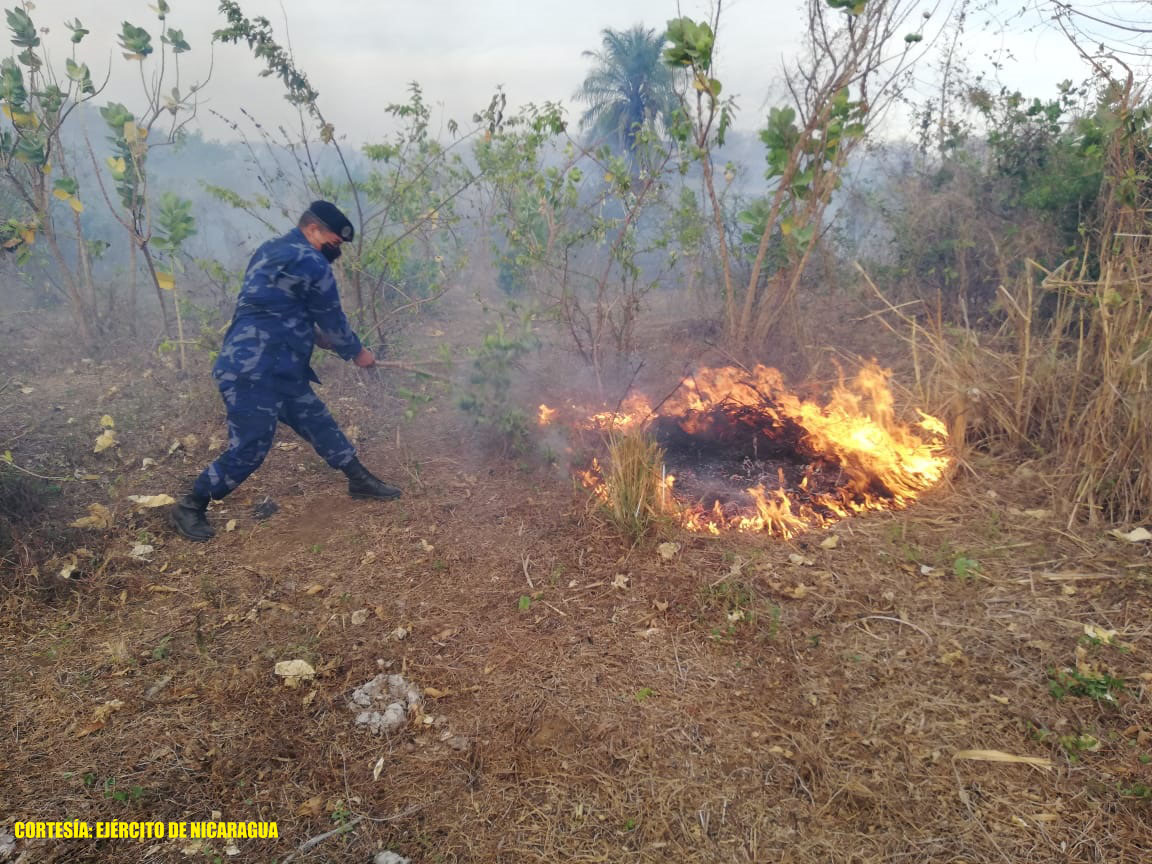 Naval participa en sofocación de incendio forestal