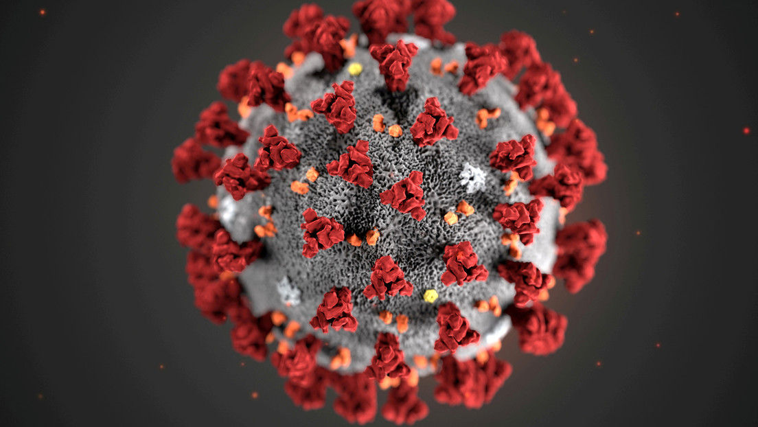 Nueva cepa de coronavirus en Túnez