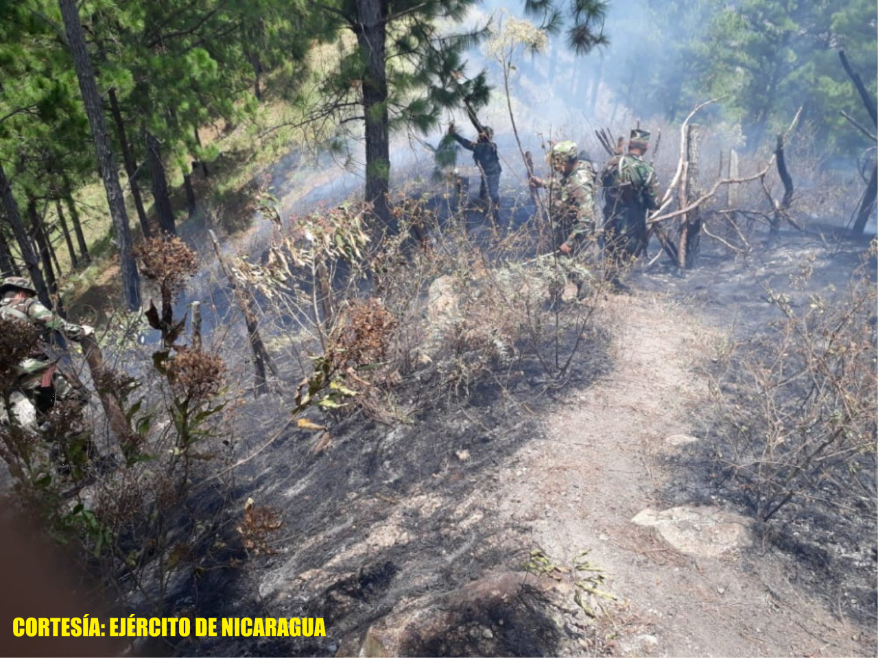 Ejército realiza sofocación de incendio en bosque