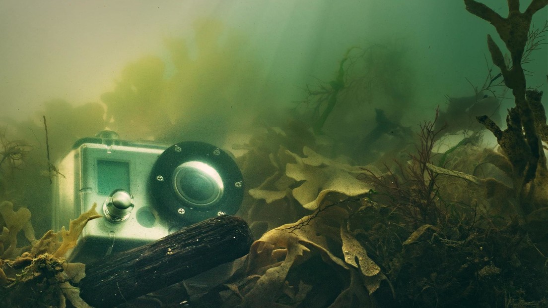 Cinco años después encuentran cámara GoPro en el mar, y la tarjeta SD aún funciona