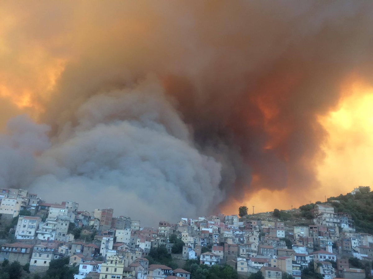 Argelia reporta más de 70 fallecidos tras incendios forestales