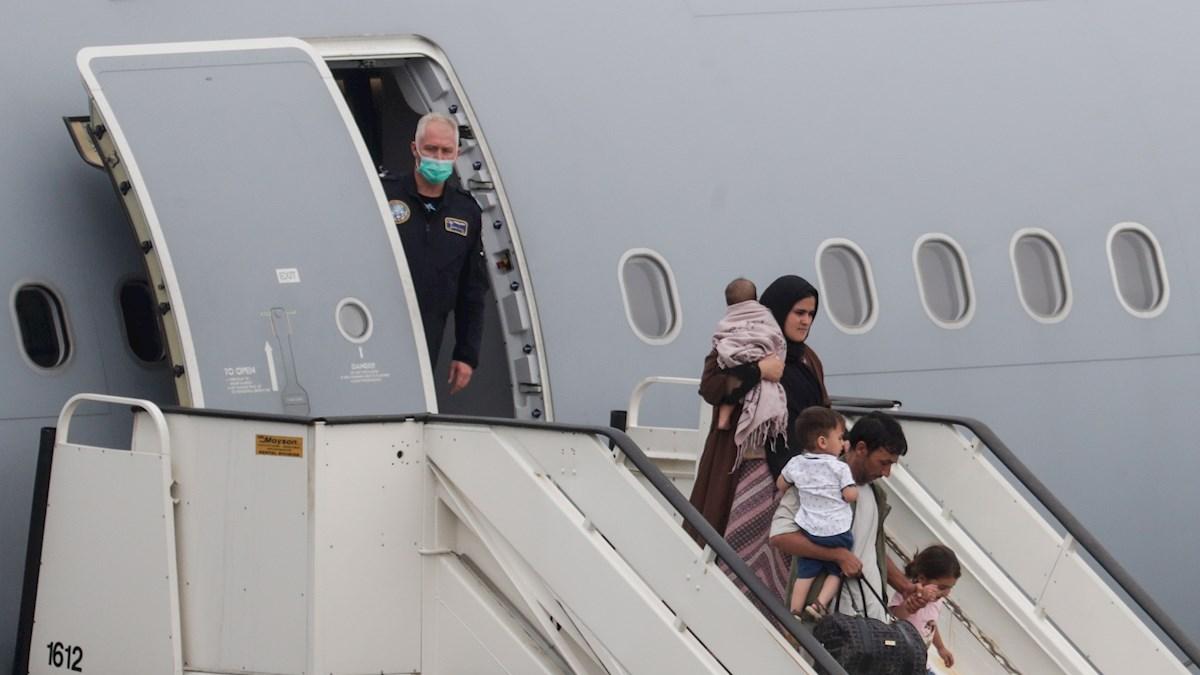 Merkel: Hasta 40.000 afganos son elegibles para solicitar asilo en Alemania