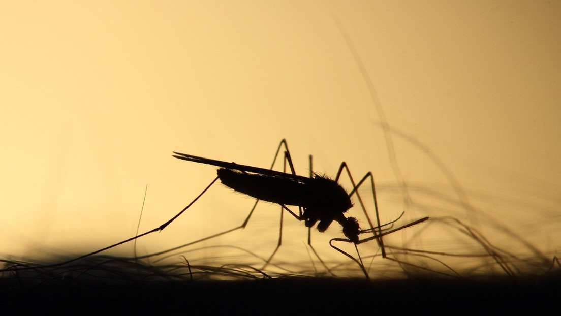 Minsa protege de los mosquitos a los habitantes de Santa Ana Sur, Managua