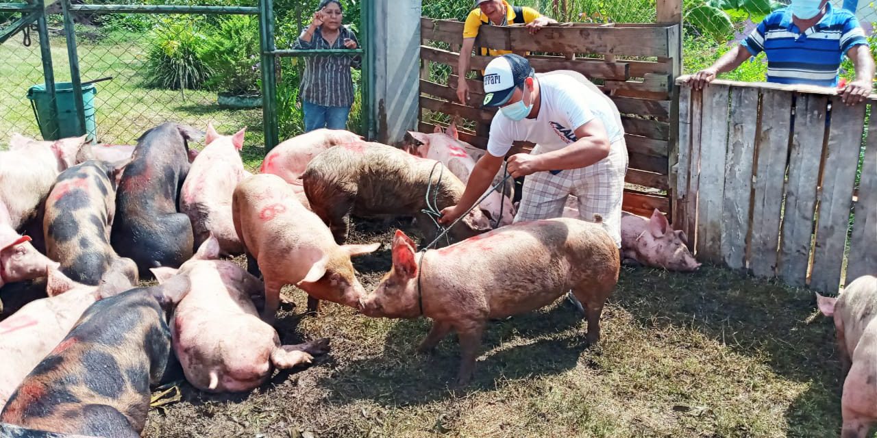 Productores de Carazo reciben bonos tecnológicos