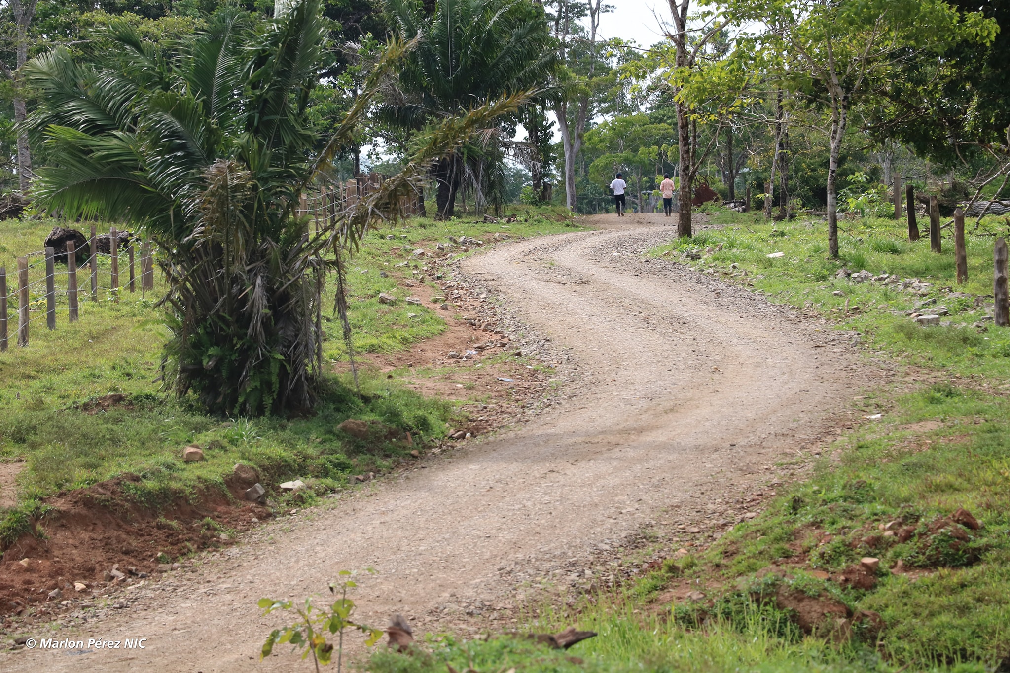 Inauguran caminos productivos en Siuna