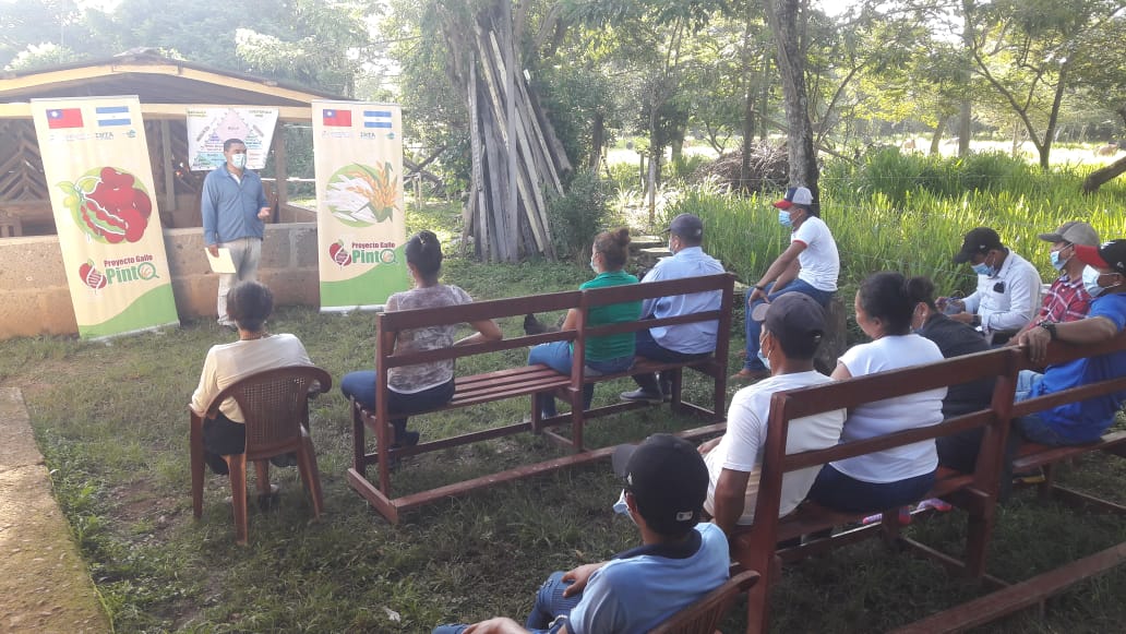Proyecto Gallo Pinto continúa capacitando a productores de Boaco y Chontales