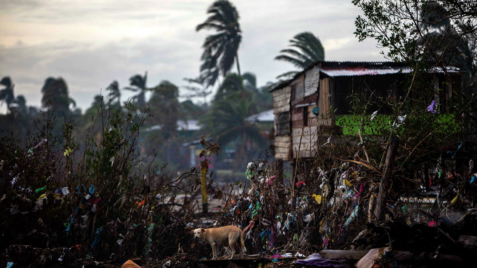 El renacer del Caribe nicaragüense