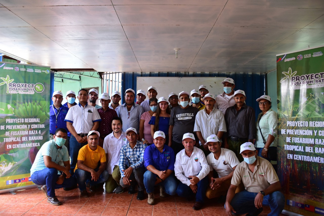 Especialista taiwanés capacita a productores de Plátano en la prevención del hongo Fusarium R4T