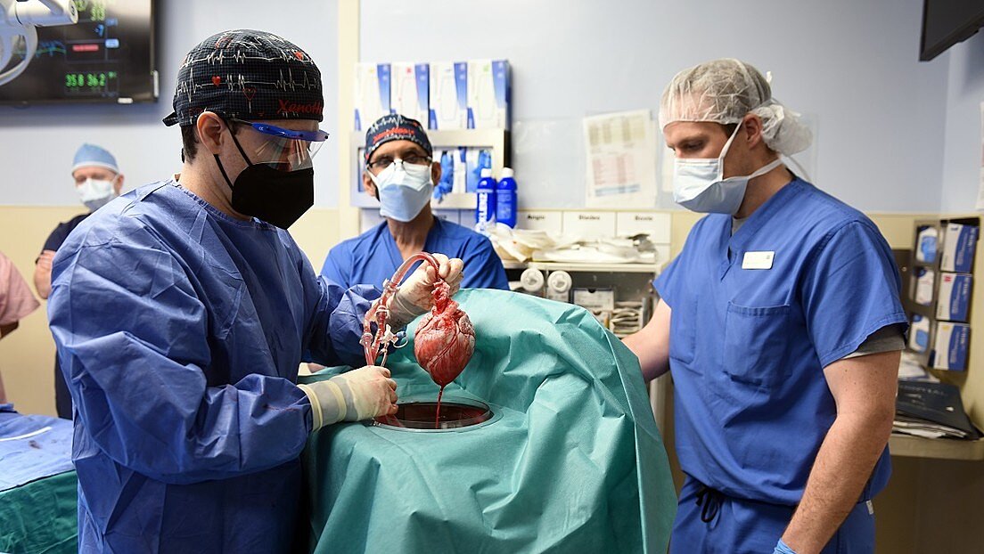 Cirujanos de Estados Unidos implantan por primera vez el corazón de un cerdo a un humano