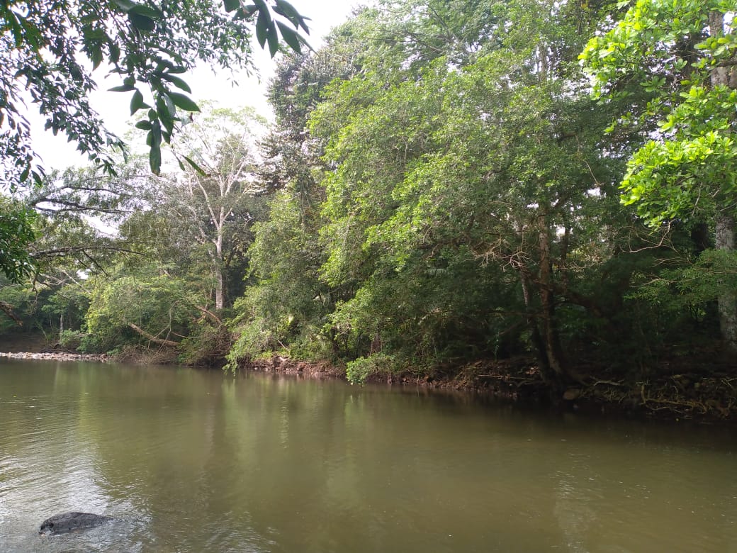 Marena declara nueva reserva silvestre en Río San Juan
