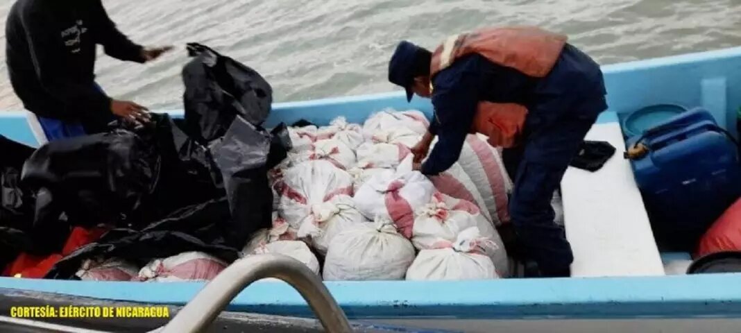 Ejército de Nicaragua confisca pepino de mar extraído ilegalmente en el Caribe nicaragüense