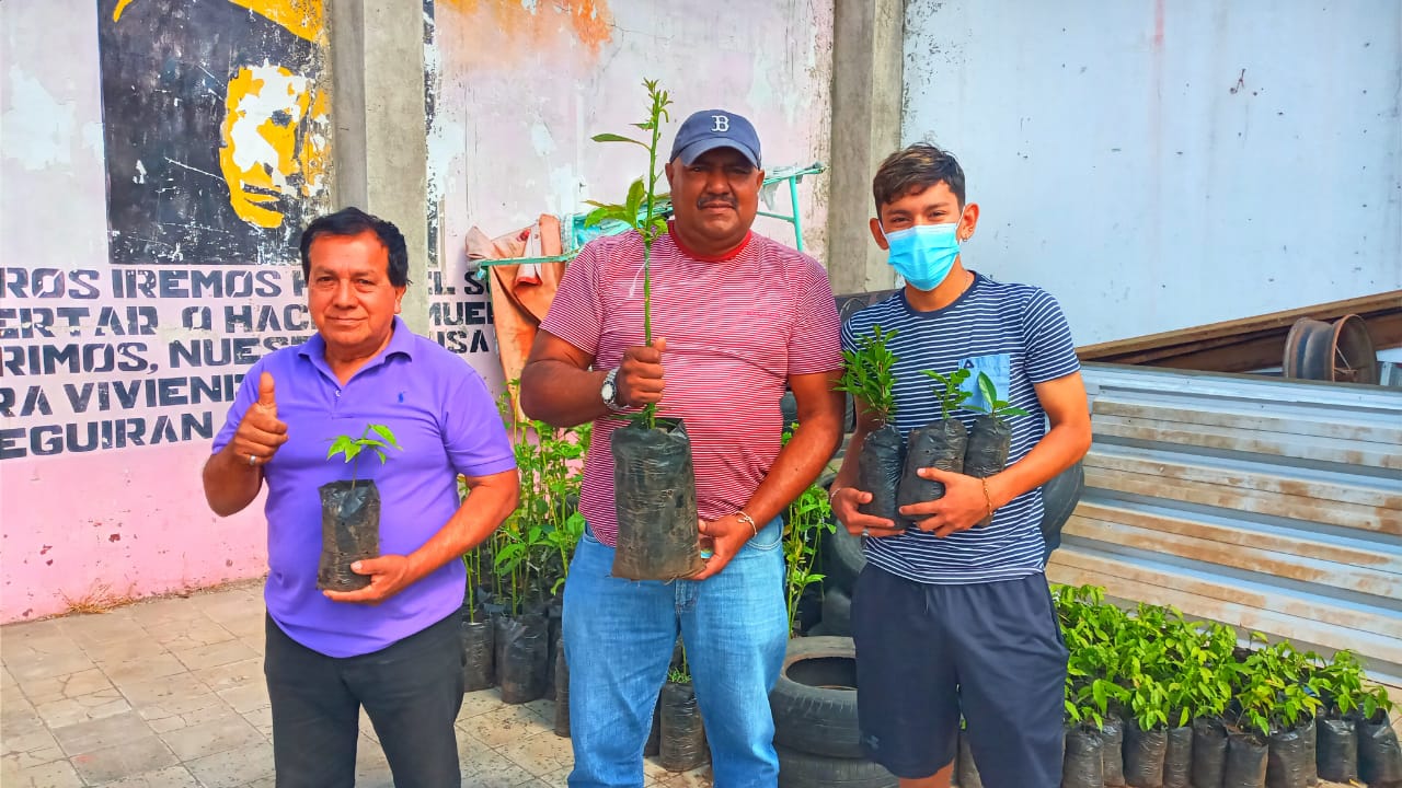 Realizan entrega de plantas frutales a productores de Carazo