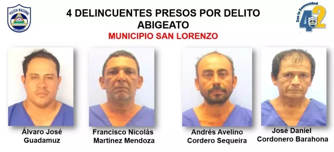 Encarcelan a 4 delincuentes que se dedicaban al robo de ganado en Boaco