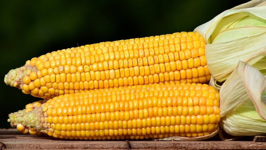 El conflicto entre Rusia y Ucrania disparará el precio de los alimentos en más de un 20 %
