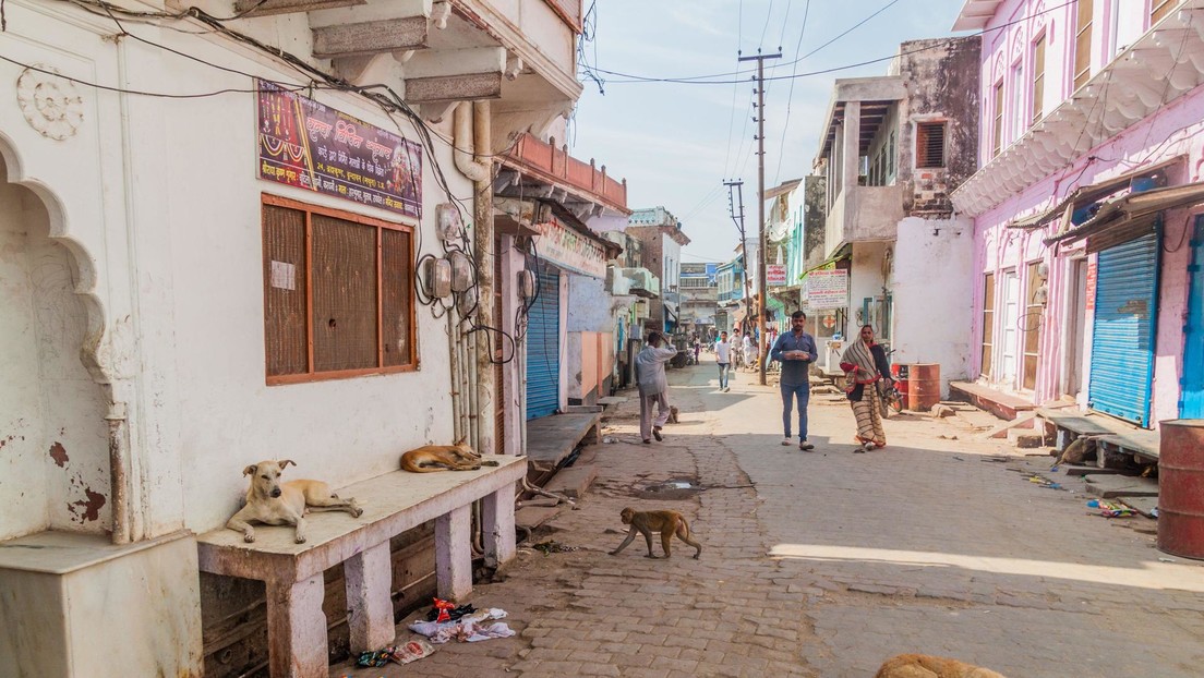 Arrestan a los padres de un niño que vivía encerrado con 20 perros en India