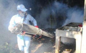 Minsa continúa con labores de fumigación en la capital