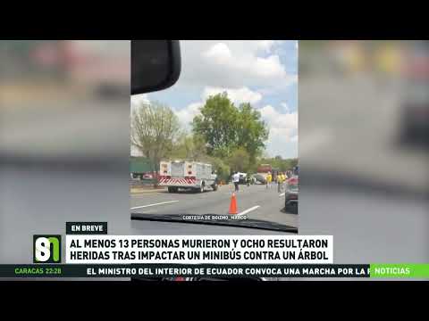 Al menos 13 muertos y 8 heridos tras chocar un minibus contra un árbol en México