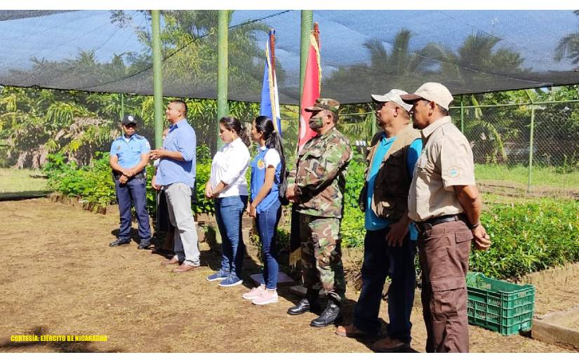 Ejército y Marena realizan Jornada de Reforestación en Río San Juan