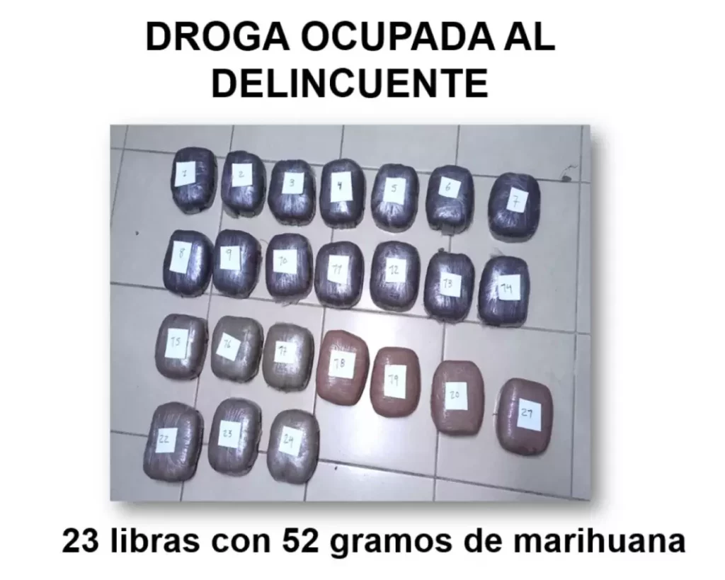 Policía esteliana incauta marihuana valorada en 2 mil 352 dólares