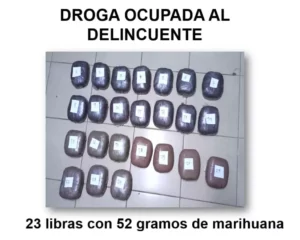 Policía esteliana incauta marihuana valorada en 2 mil 352 dólares