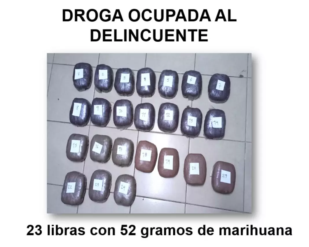 Policía en Madriz incauta marihuana valorada en 2 mil 352 dólares