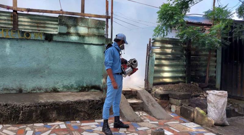 Brigadistas combaten enfermedades vectoriales en Managua