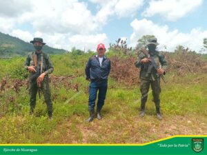 Ejército ocupa 21 semovientes en Bonanza Costa Caribe Norte