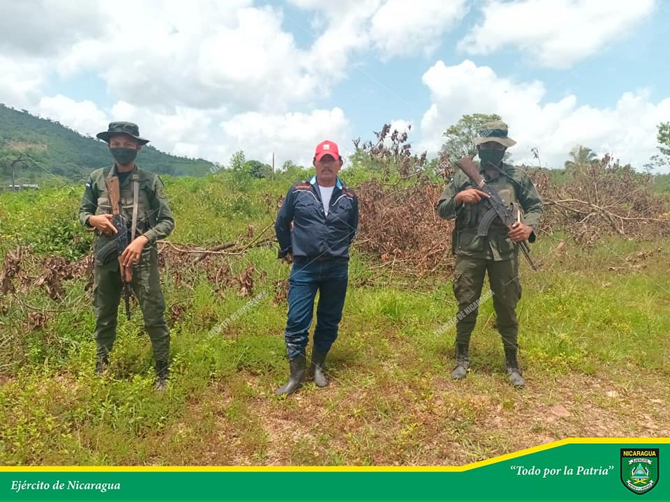 Ejército ocupa 21 semovientes en Bonanza Costa Caribe Norte