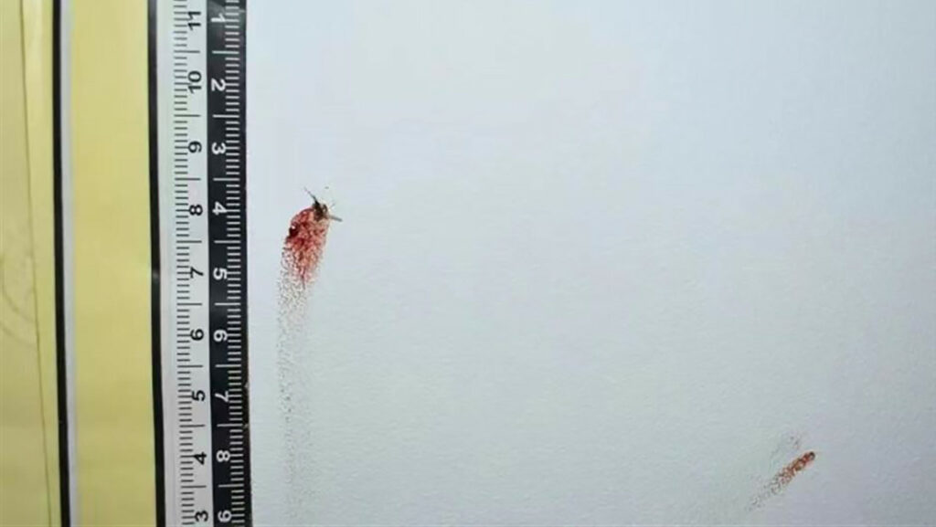 Un mosquito muerto durante un robo en China ayuda a la Policía a detener al ladrón