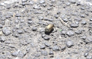 Nicaragüense es asesinado a balazos en Alajuela, Costa Rica