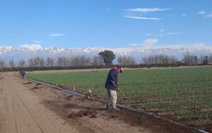 Inta intercambia conocimientos para el fortalecimiento productivo de la fincas