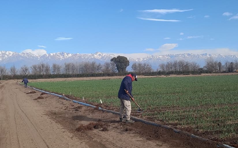 Inta intercambia conocimientos para el fortalecimiento productivo de la fincas