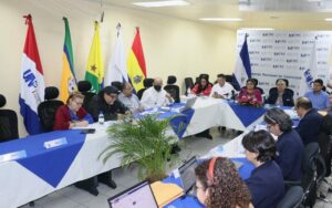 CNU brinda informe de actividades a realizar durante la semana