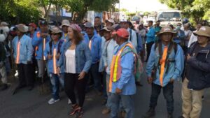 Alcaldía inicia con Plan Especial de Eliminación de Criaderos de Zancudos