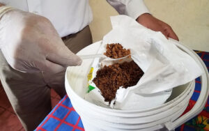 Minsa realiza el lanzamiento de la segunda jornada nacional de desratización