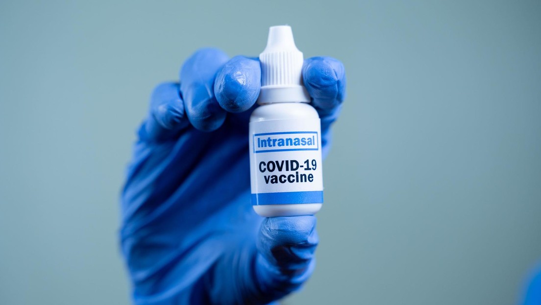 La variante nasal de la vacuna Sputnik V es efectiva contra todas las cepas de COVID-19, según el director del centro Gamaleya