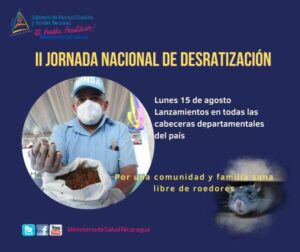 Minsa iniciará con la Jornada Nacional para eliminar roedores