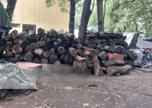 Realizan taller sobre la estandarización de la medida de la madera