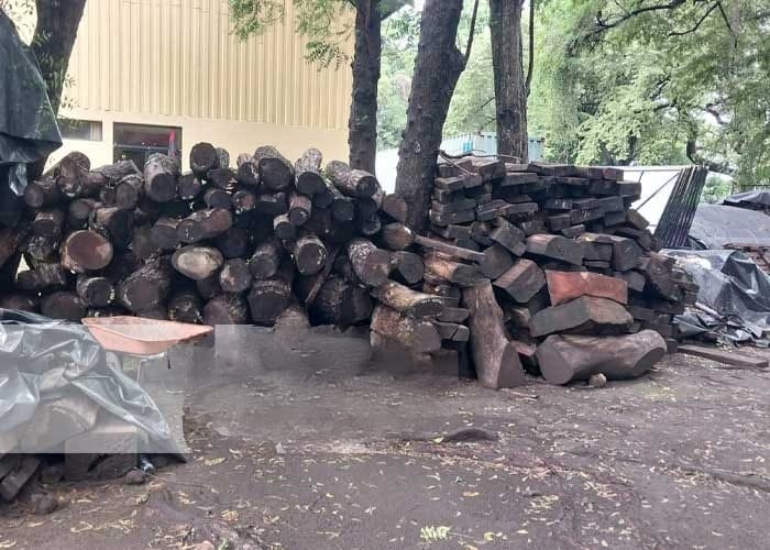 Realizan taller sobre la estandarización de la medida de la madera