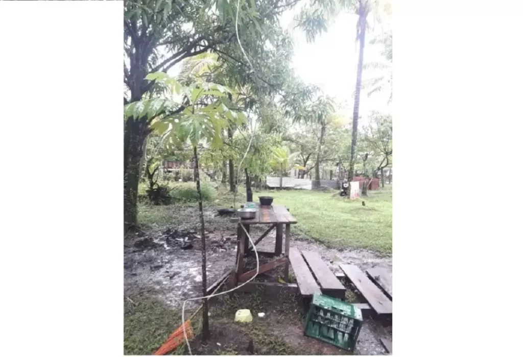 La desgracia sucedió a las 3 y media de la tarde del viernes, cerca de donde vivía la infortunada mujer. Cazadores de noticias afirmaron que además de causar la muerte de la señora Lorna Anayo, el cable eléctrico también afectó a dos niñas y un varoncito, quienes fueron llevados al Hospital Nuevo Amanecer, de BIlwi. La víctima era originaria de la comunidad miskita de Sandy Bay, en el Caribe Norte.