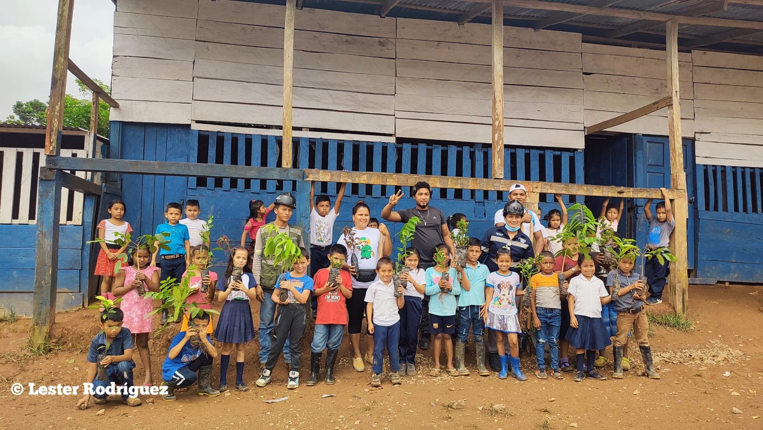 Desarrollan jornada de reforestación en Bonanza