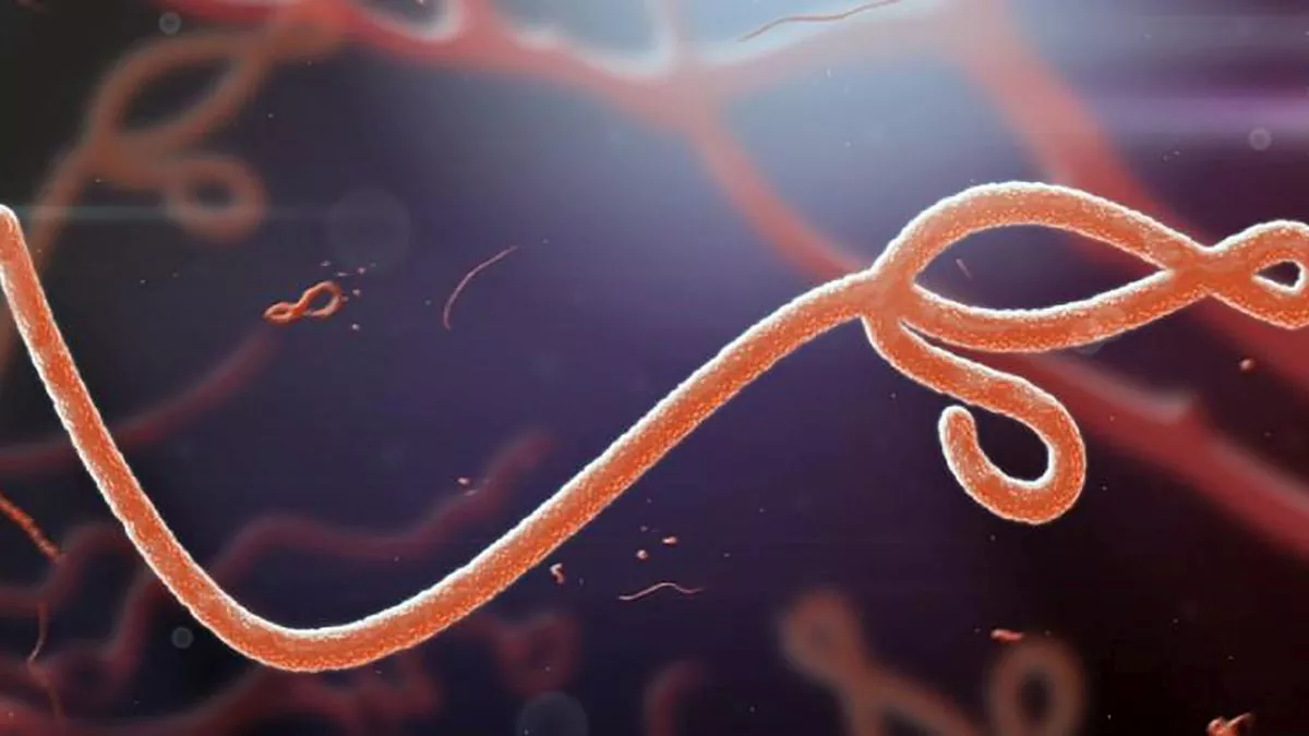 Confirman 6 nuevos contagios y 11 muertes a causa del ébola en Uganda
