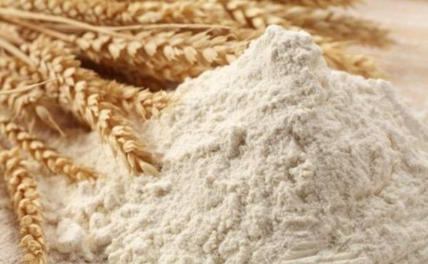 Nicaragua planea incrementar la exportación de trigo ruso