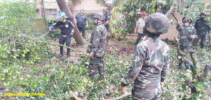 Ejército realiza remoción de árboles caídos en Jinotega