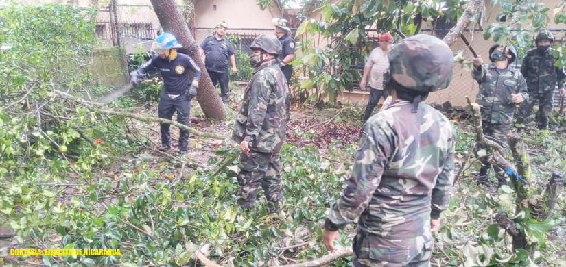 Ejército realiza remoción de árboles caídos en Jinotega