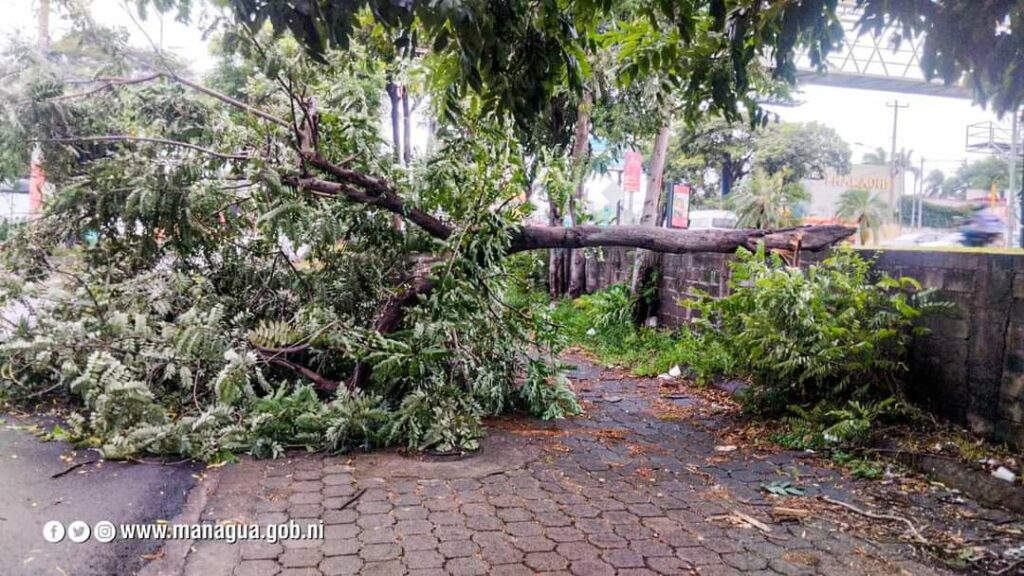 Alcaldía de Managua atiende incidencias de Julia en barrios de la capital