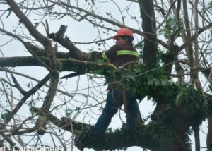 Julia deja sin energía a Las Minas, Prinzapolka, Waspam y Bilwi