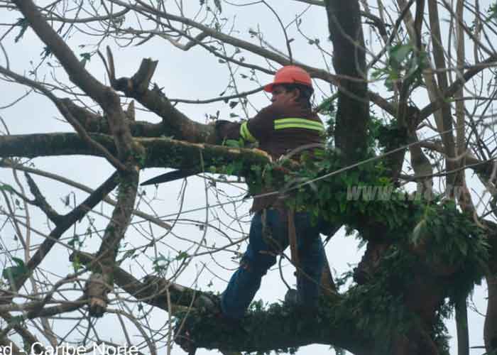 Julia deja sin energía a Las Minas, Prinzapolka, Waspam y Bilwi